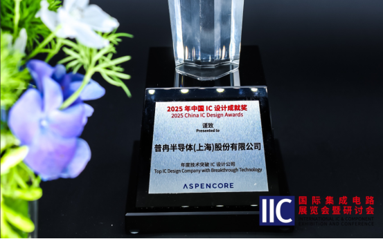 尊龍·(中國)半導體斬獲IIC 2025年度技術突破獎！用芯定義未來(圖1)